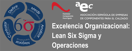 CURSO SEMINARIO LEAN SIX SIGMA EN AEC